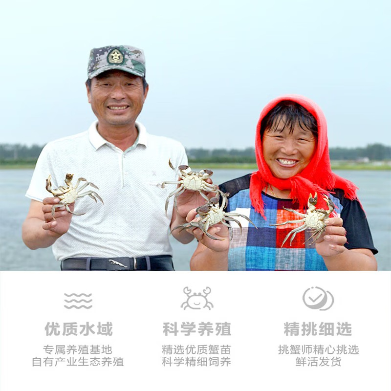 姑苏渔歌大闸蟹皇家经典系列2788型  公蟹5.0两*5  母蟹4.0两*5