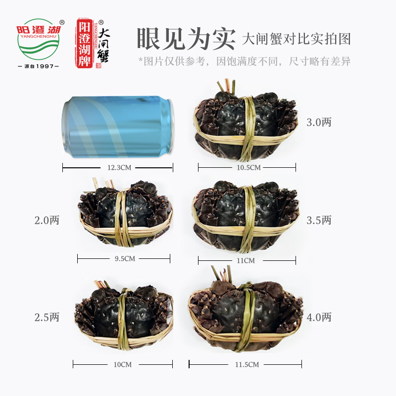 阳澄湖牌大闸蟹真情永伴538型3对装