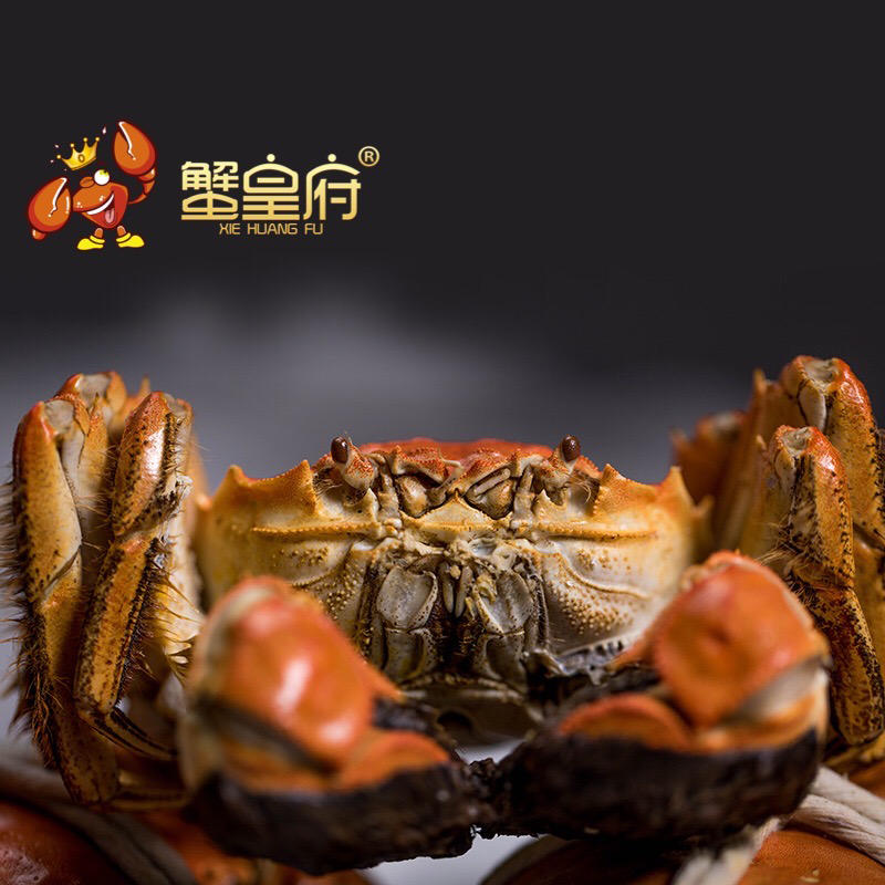 蟹皇府阳澄湖大闸蟹6988型 公蟹6.0-6.4两*5 母蟹4.0-4.4两*5
