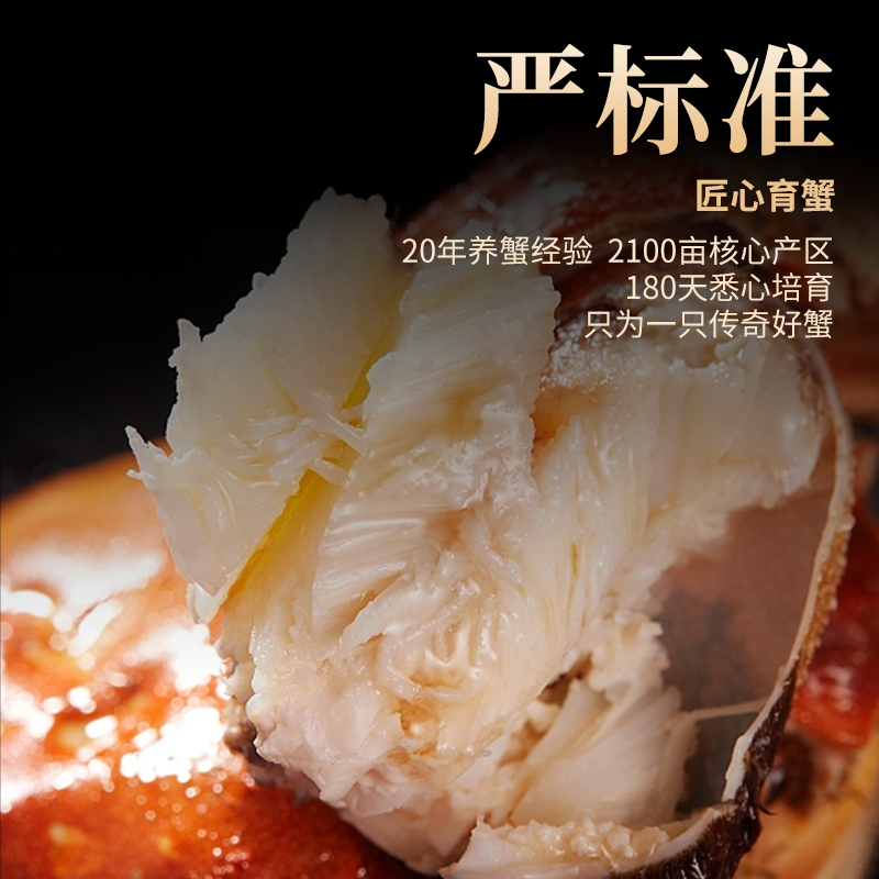 圣堂名钳大闸蟹吉祥588型3对装