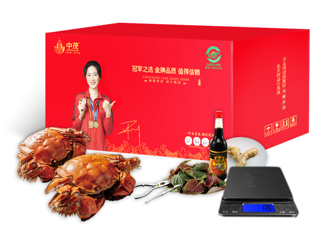 中茂阳澄湖大闸蟹998型荣茂10只装