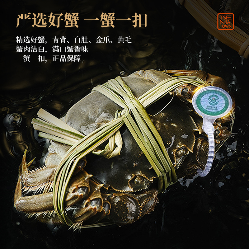 蟹满堂大闸蟹498型3对