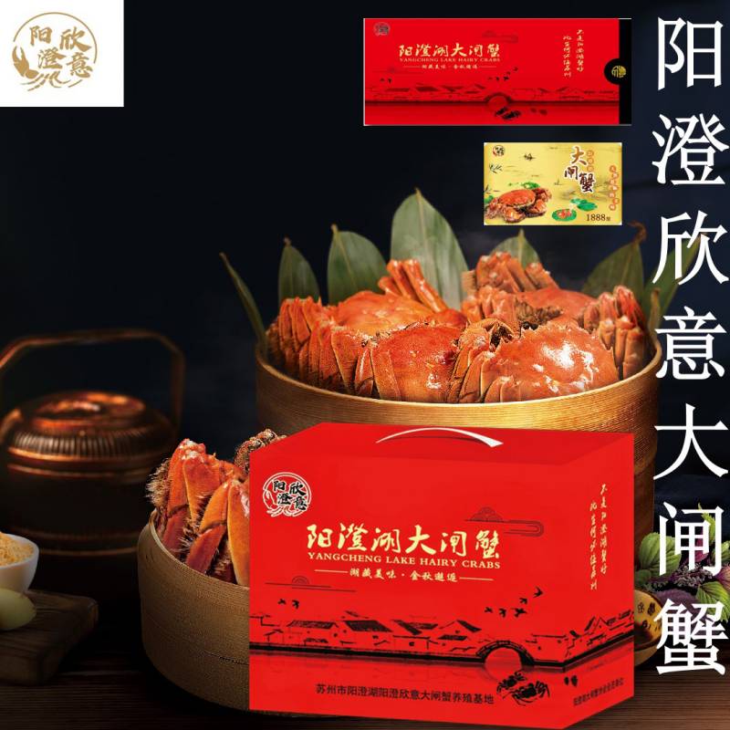 阳澄欣意大闸蟹5888型10对